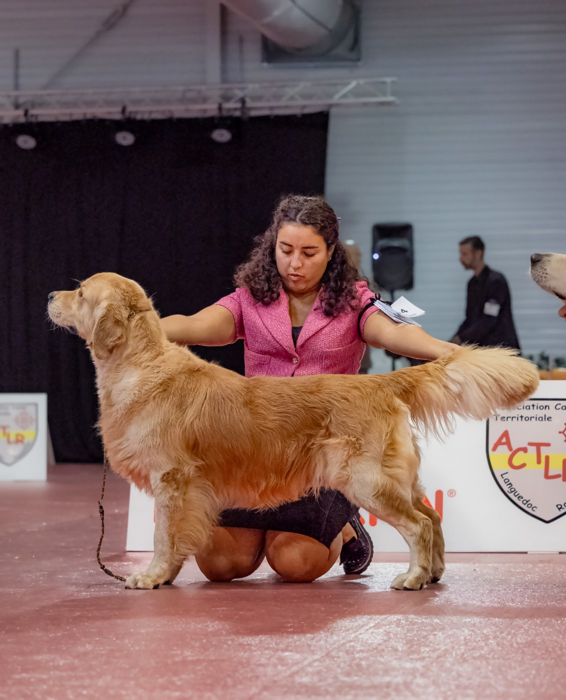 ✨ Carnet Rose 2026 : Des portées d'exception attendues cet été ! ✨